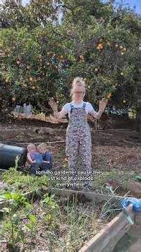 Guacamole Garden Update: How We Manage Explosive Tomato Growth to Save the Farm