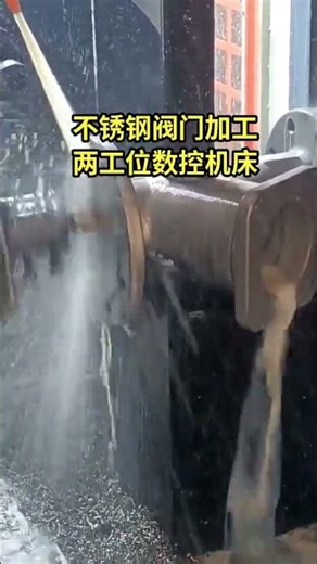 Dual-Face CNC Machining System for Stainless Steel Valves in Chemical and Water Treatment