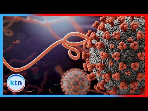 Kenya Lists 122 Ebola Contacts as Questions Mount Over Abandoned Disease Surveillance System