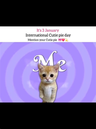 Aesthetic Feel Inspirations for Your Daily Life