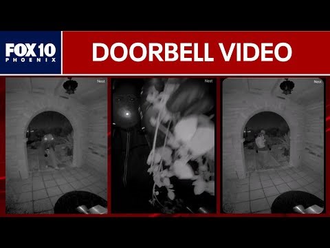 Nancy Guthrie's Nest camera captures possible abductor | FOX 10 Phoenix