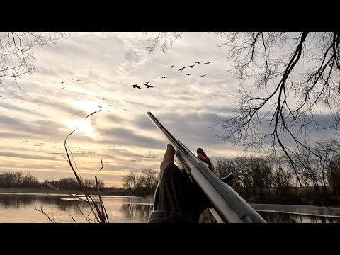 Early Morning Goose Hunt Success!