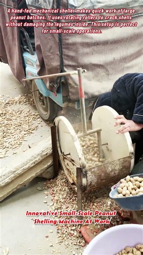 Innovative Small Scale Peanut Shelling Machine At Work