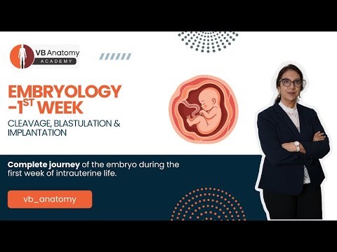 Embryology: Cleavage, Blastulation & Implantation | First Week of Human Development Explained
