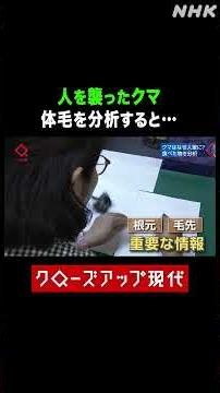 人を襲ったクマの体毛を分析すると…【クロ現】| NHK | #shorts