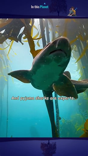 Octopus! Superior wits allow this octopus to stay alive #shorts