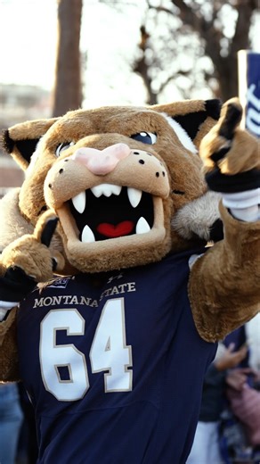 NCAA FCS Football on Instagram: "🗣️'Cats are here ( @djpaulyd voice) #FCSChampionship x @msubobcatsfb"