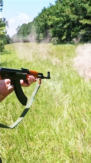 AK-47 HOG CHAOS! 🐗 Slow-Mo Invasion!