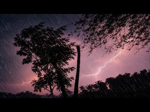 Powerful Thunderstorm Rain, Lightning & Strong Winds | Extreme Storm Night