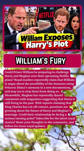 ROYAL SHOCK: Prince William Fights Back as Harry’s Netflix Plans Spark Fresh Controversy!