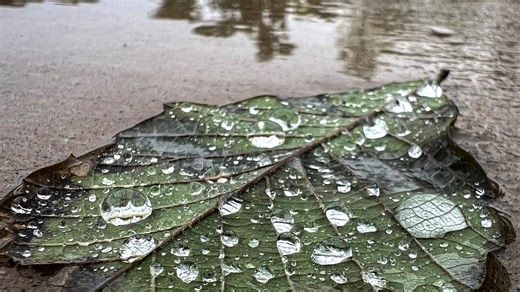 Rain continues in SC. Is it enough to help drought conditions? Latest