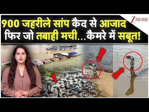 900 जहरीले सांप कैद से आजादफिर जो तबाही मची...कैमरे में सबूत! | China Snake news |