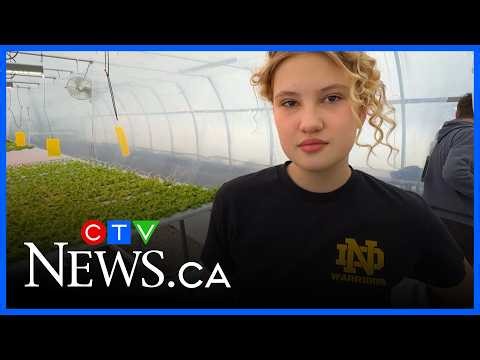 Fleeing war: Ukrainian family opens local farm