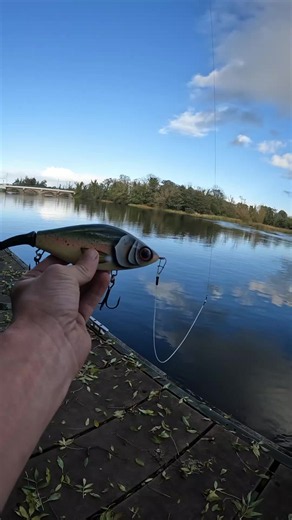 Pike fishing river tips: Pike fishing with Savage Gear