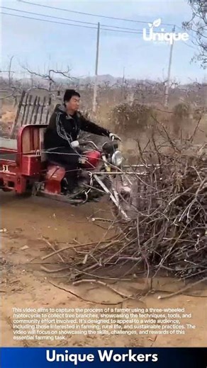 Tree branch collection: a farmer's way