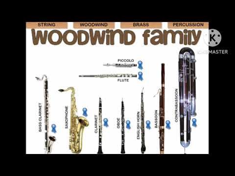The woodwind family Microsoft musical instruments