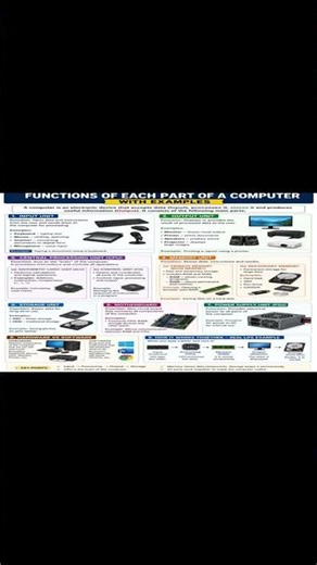 Functions of Computer Parts Explained with Examples | Input, Output, CPU & Memory