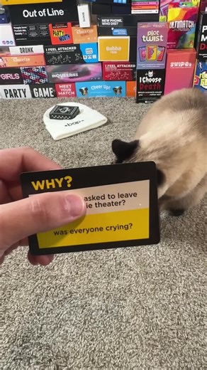 Why is everyone crying? #cat #why #because #games | cat