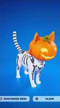 How To COMPLETE ALL JACK O CAT SIDEKICK REWARDS QUESTS CHALLENGES in Fortnite! (Earn Points Guide)