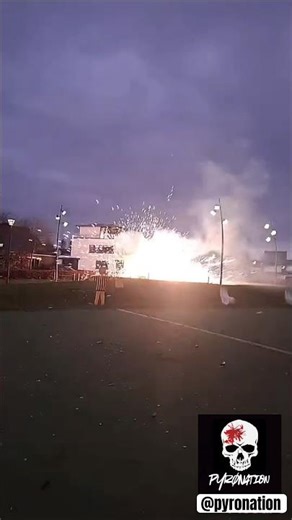 ⚠️Done by professionals, for educational purposes only. We di not condone doing things like this⚠️