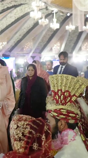 CMP Punjab: Maryam Nawaz Sharif's Latest Update