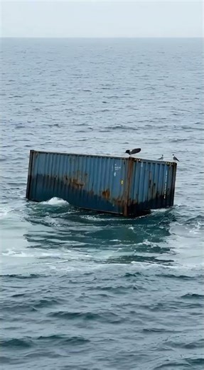 “What happens when a cargo container falls from a large ship into the sea?”