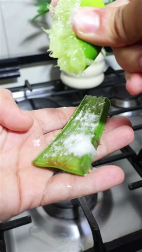 Pon limon al aloe vera