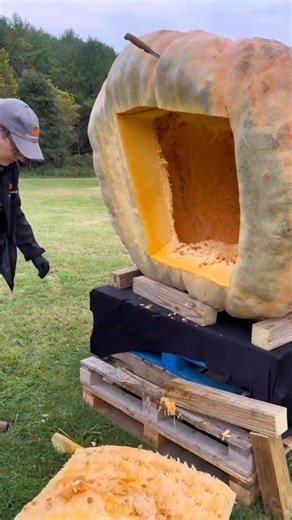 "Exotic Chinese Fruits You’ve Never Seen Before!"