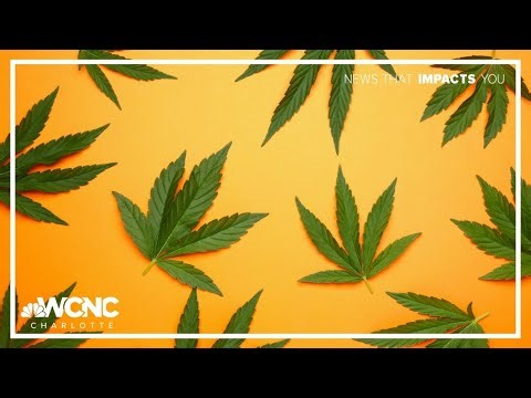 North Carolina cannabis council pushes for legalization
