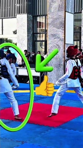 #unbelievable #mma #martialarts #ufc #shortsvideo #taekwondo #karate #knockout #epicmoment #usa