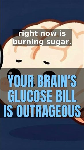 Glucose: Your Brain'S Glucose Bill Is Outrageous | Catalyst