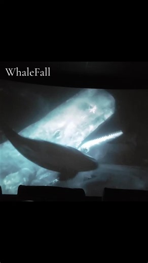fantastic #movies #austinabrams #viral #fyp #whalefall | whale fall