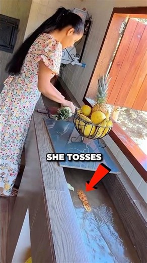 The Secret Behind This Never-Ending Water Flow 🤯