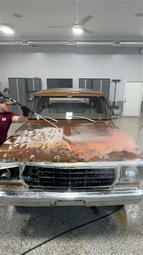 Satisfying Wash of a DIRTY Hood!