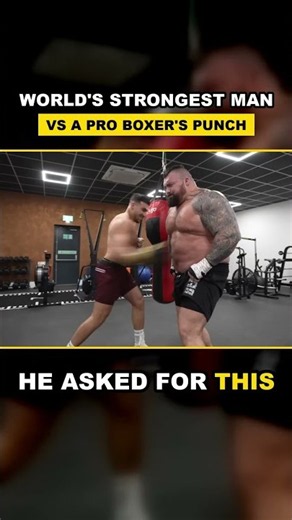 Eddie Hall gets PUNCHED #fitness #gym #funny #wrestling