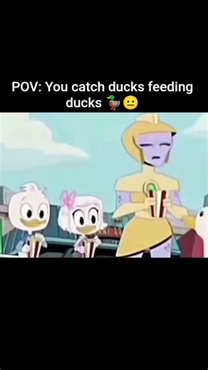 SUBSCRIBE! when Ducks Feed Ducks… 🤨 Wait a MINUTE#Shorts #DuckTales #Funny #Meme #Viral #Disney