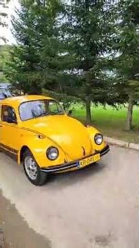 Beetle Meeting in Rudawka Rymanowska 2025 | retro2oo.com