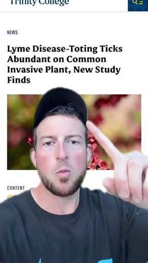 Spittin facts, Reducing invasive plants reduces tick populations. DO SOMETHIN ABOUT IT. https://www.