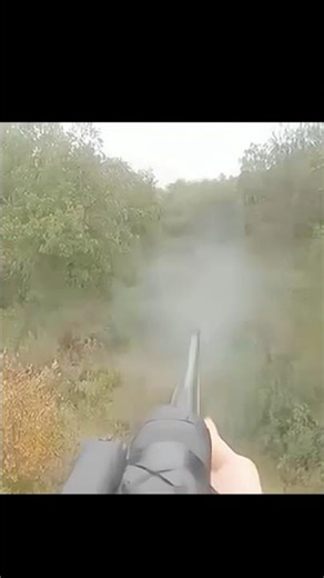 Deep Woods Bear Hunting: Two Shots in the Thick Stuff#biggamehunting