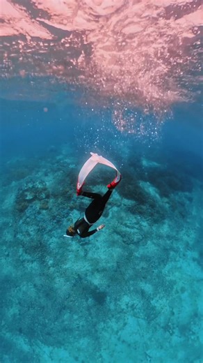 Exploring Free Diving in Indonesia: An Aquatic Adventure