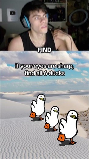 Can You Find All The Ducks..?! 🤔🧠 #dantes #memes #reaction