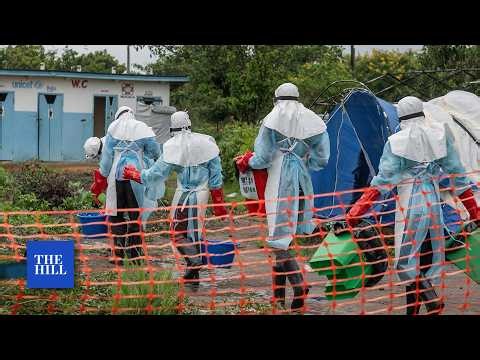 Should Americans be worried about Ebola and Hantavirus outbreaks?