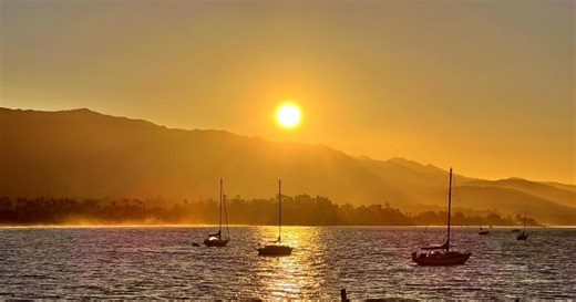 Preserving Ocean Life on the California Coast