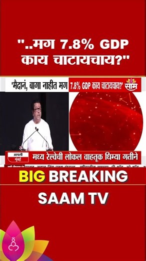'...मग तो GDP चाटायचा का?' MNS Raj Thackeray on GDP
