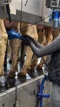 The Grind That Never Stops 🐄 24/7 Farm Life