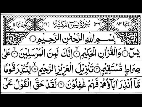 Surah Yasin (Yaseen) | Daily Quran Tilawat Surah Yasin Surah Rahman Surah Yaseen