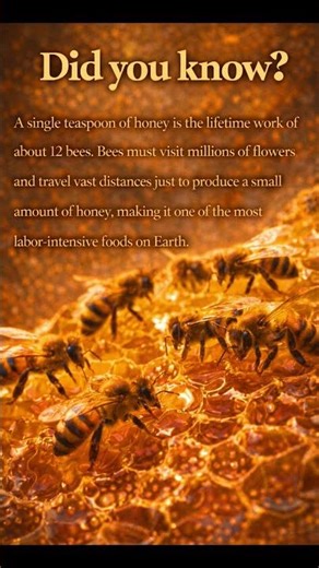 BEES #explore #viral #trading #shorts