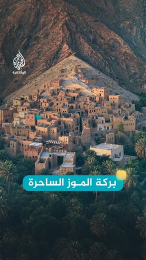 بركة الموز الساحرة في عمان