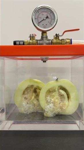 🔥 Vacuum vs Melon?! 😳(Will It Explode or Collapse?)