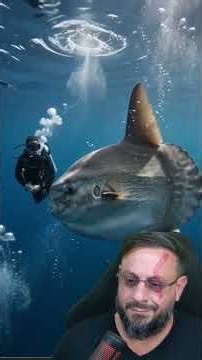 Biologist Henrique #biologisthenrique #animals #smartcreature #biologist